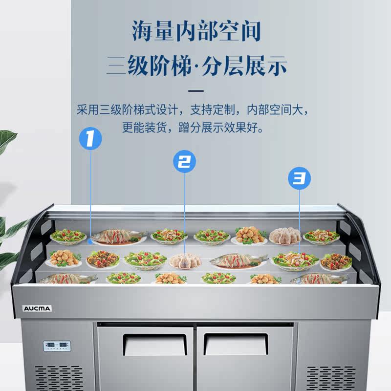 澳柯玛阶梯冰台展示柜商用明档冰柜 澳柯玛商用展示柜