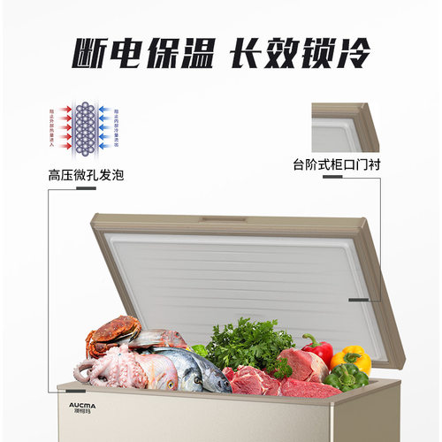 【国补20%】澳柯玛BC/BD-202DNE家用卧式冷柜减霜冰柜-36℃低温 - 图3