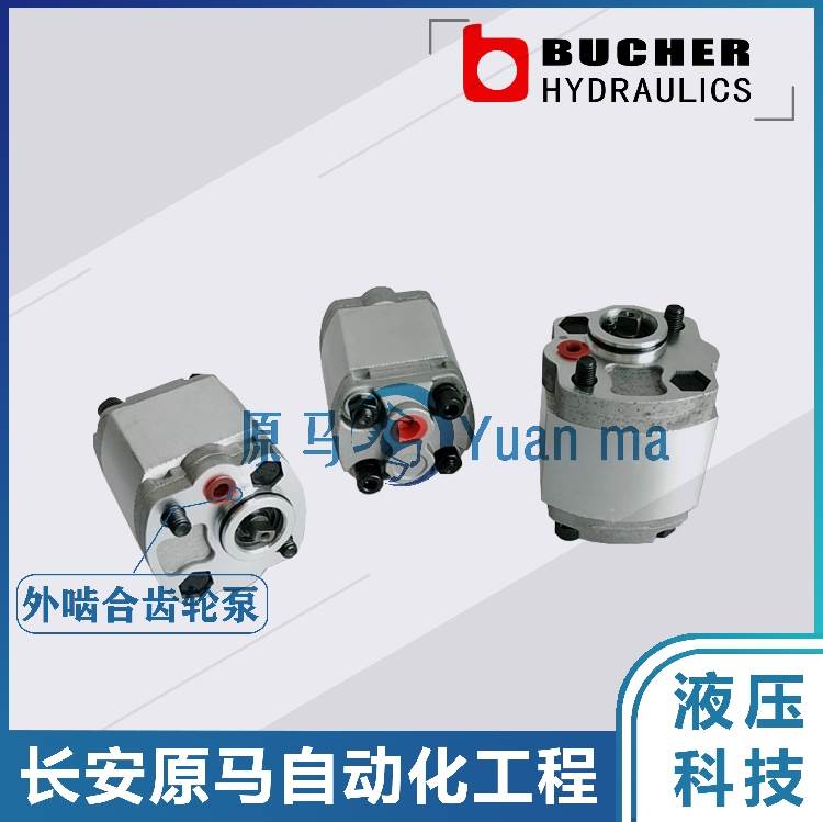 BUCHER hydraulics动力单元齿轮泵CBK1-F2.7 3.2 3.7 4.2 5 6 8 - 图2