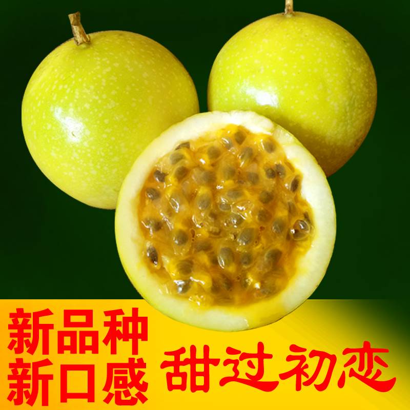 现摘黄金百香果新鲜包邮白香果图片_2