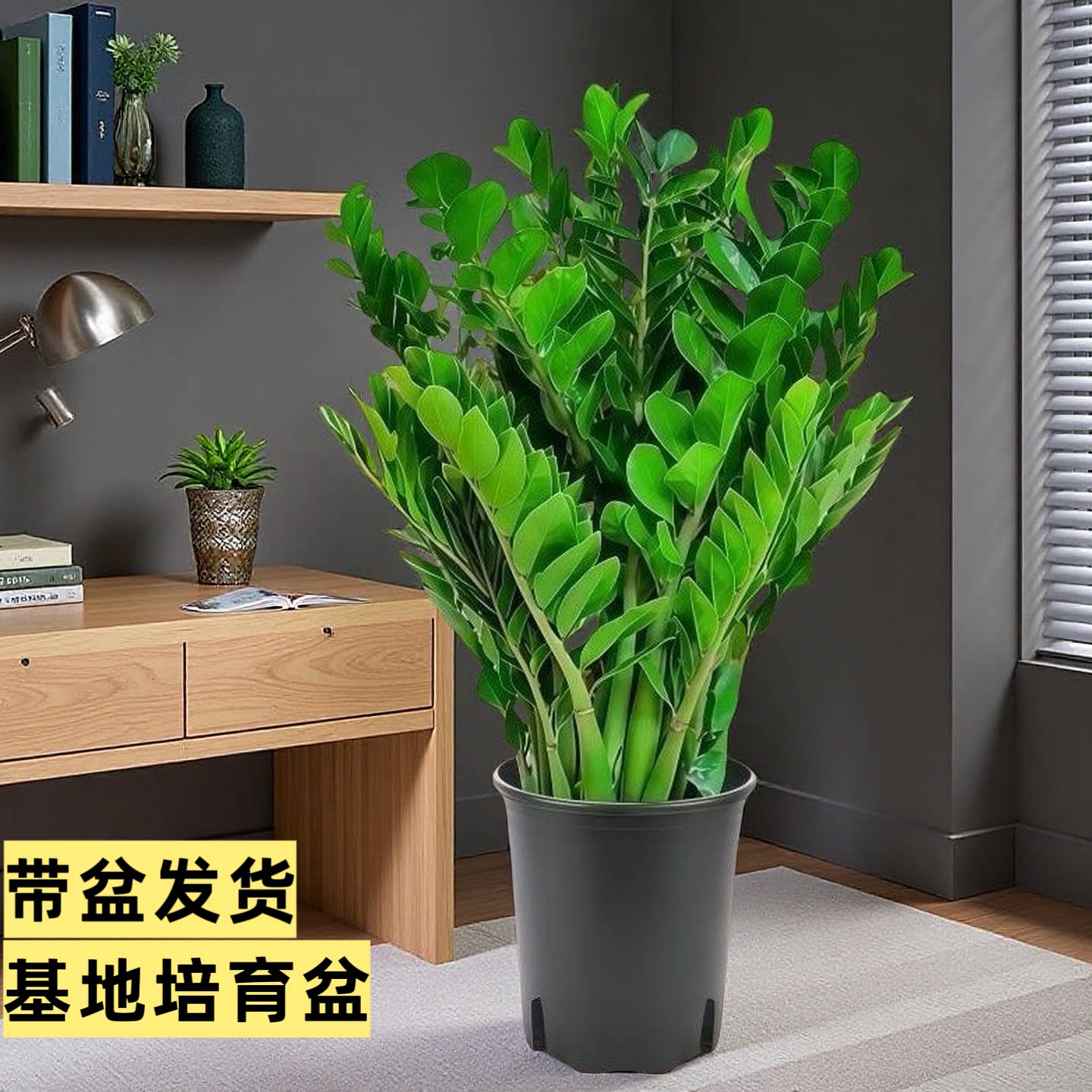 图3
