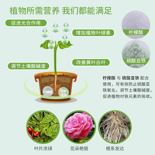 硫酸亚铁伴侣防氧除垢剂化柠檬酸土壤调酸剂喜酸性植物花卉肥料 - 图1