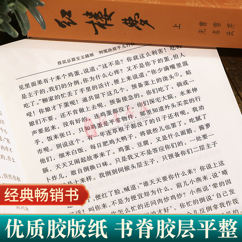 红楼梦原著正版上下2册 曹雪芹庚辰本 四大名著小说原版初高中生青少年版白话文文言文畅销书籍完整版全译本无删减 人民文学出版社 - 图1