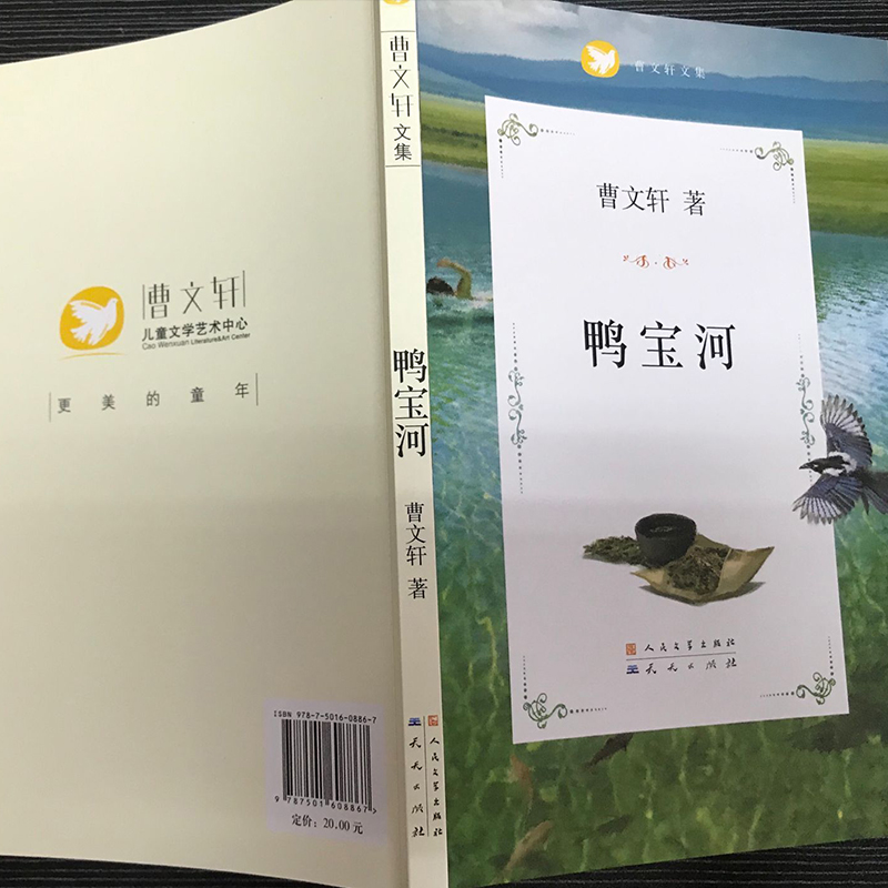 鸭宝河(曹文 轩文集) 曹文轩系列儿童文学 三四五六年级课外书 小学生课外阅读书籍8-9-10-12周岁儿童读物正版 天天出版社 - 图2