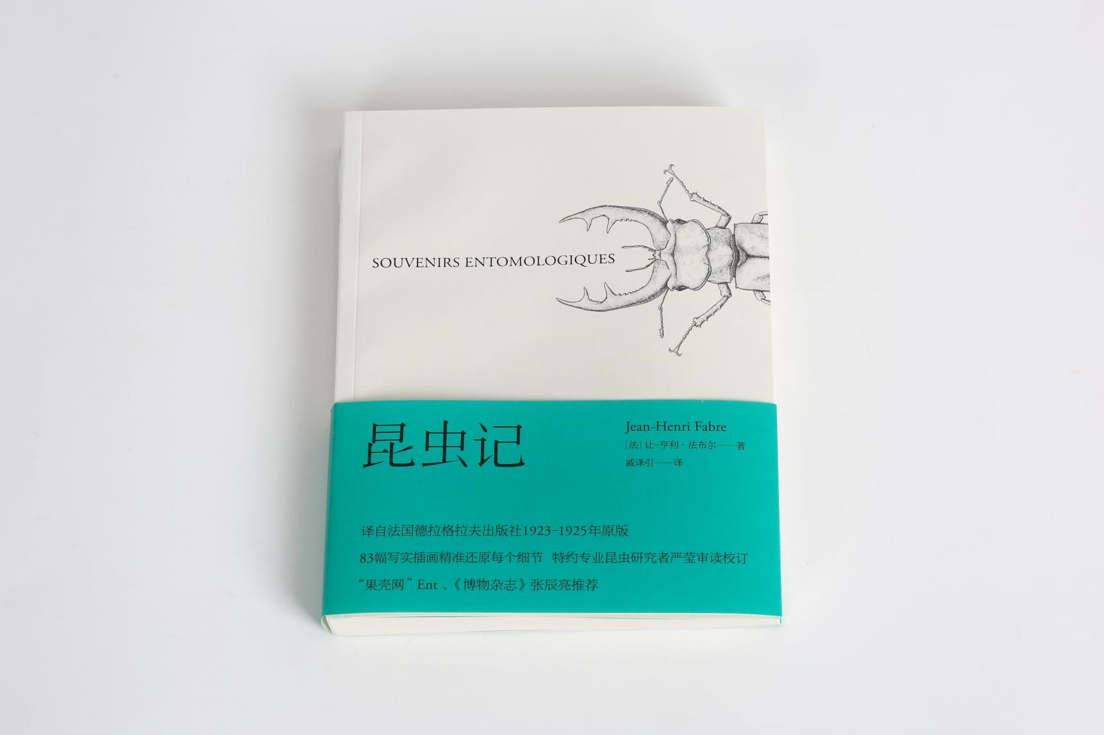 昆虫记 法布 博物杂志 张辰亮  科学松鼠会 引译自法国原版83幅写实插画精准还原细节   初中生统编语文教材配套阅读 - 图1