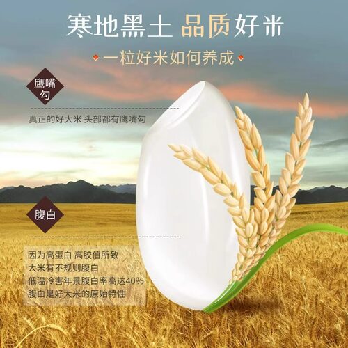 25新米 黑龙江长粒香大米3斤东北粳米香米农家自种优质新米现磨 - 图2