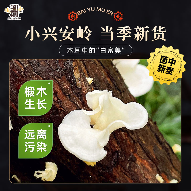 东北白玉木耳干货小碗耳白色兔耳菌无根玉木耳黑木耳长白山特产 - 图0