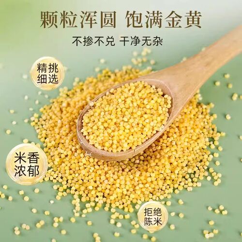 2026年东北黄小米新米粥五谷杂粮吃的小黄米黑龙江粮食糯小米特产 - 图0
