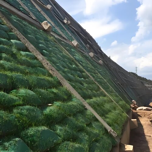 护坡绿色生态袋边坡防护绿化河道防汛环保土工山坡挡土草籽植生袋 - 图1