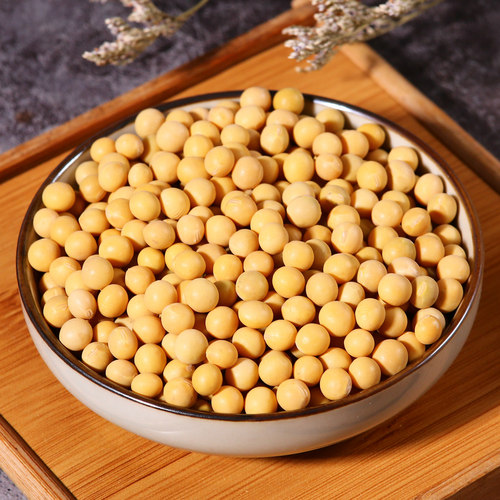 2025东北非转基因黄豆400g农家自种大豆打豆浆生豆芽专用小粒黄豆 - 图2