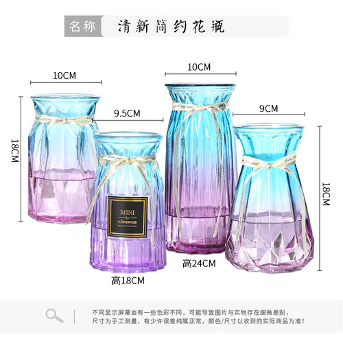 【四件套】玻璃花瓶透明水培绿萝植物富贵竹百合花瓶客厅插花摆件-图0