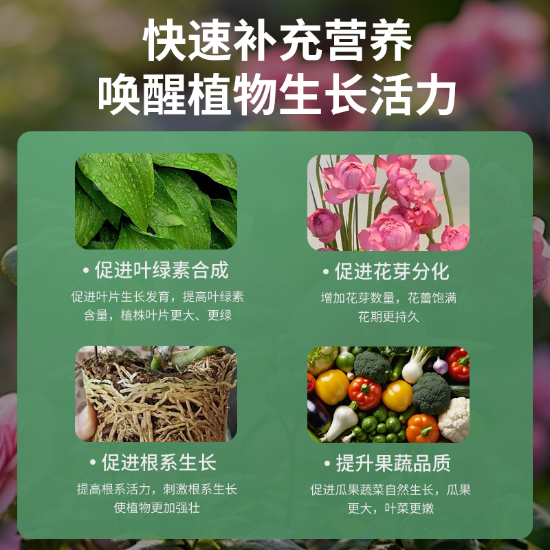 花多多2号1号二号一号水溶肥硫酸亚铁花肥料通用型官方旗舰店官网 - 图0