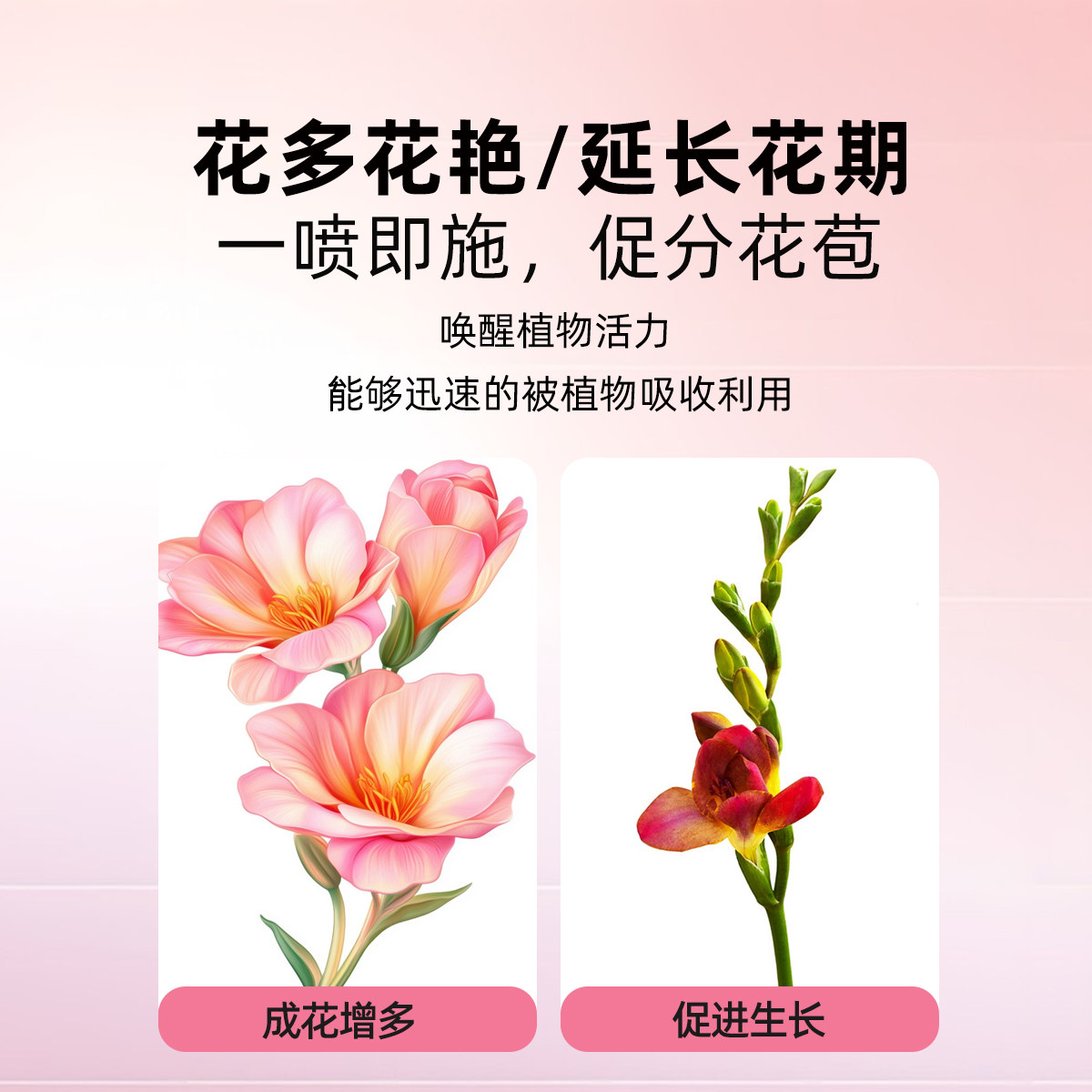 贝可施爆满花母液爆芽多芽促芽催芽分化叶插花植物多肉绿植营养液,淘宝优惠券,粉丝福利购,淘宝优惠卷