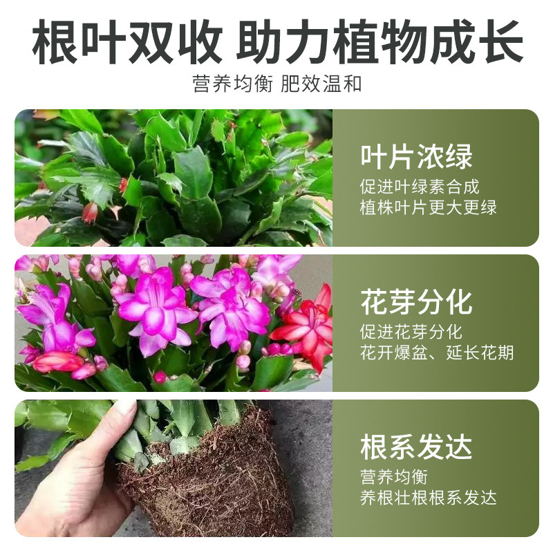 贝可施蟹爪兰开花肥料有机缓释复合肥植物专用盆栽绿植花卉养花,淘宝优惠券,粉丝福利购,淘宝优惠卷