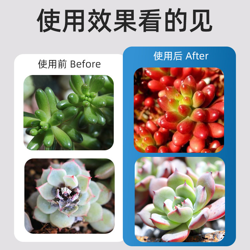 多肉爆芽矮胖素促芽增色植物花卉盆栽家庭园艺通用防徒长营养液,淘宝优惠券,粉丝福利购,淘宝优惠卷