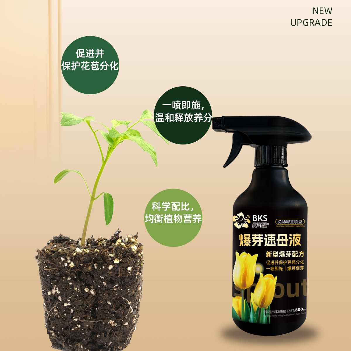 贝可施爆芽速母液多芽促芽催芽分化叶插花促花多肉营养液免稀释,淘宝优惠券,粉丝福利购,淘宝优惠卷