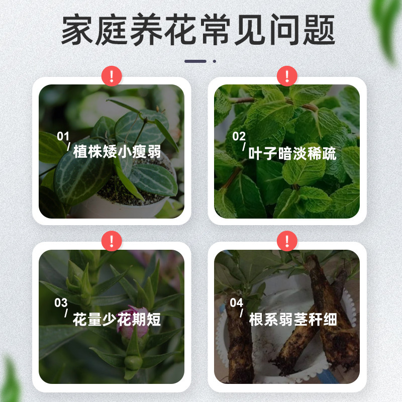 【拍一发三】贝可施植物营养液通用型液体肥花肥水培发财树月季,淘宝优惠券,粉丝福利购,淘宝优惠卷
