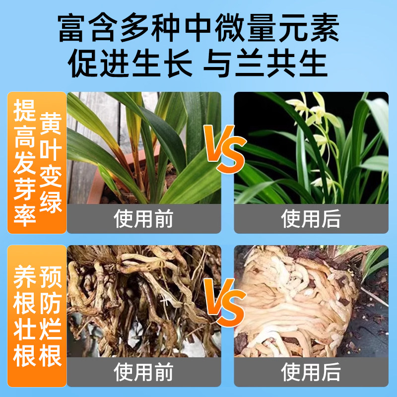 贝可施多箭素兰花园艺营养液兰灵王蝴蝶兰开花促兰花爆芽素专用肥,淘宝优惠券,粉丝福利购,淘宝优惠卷