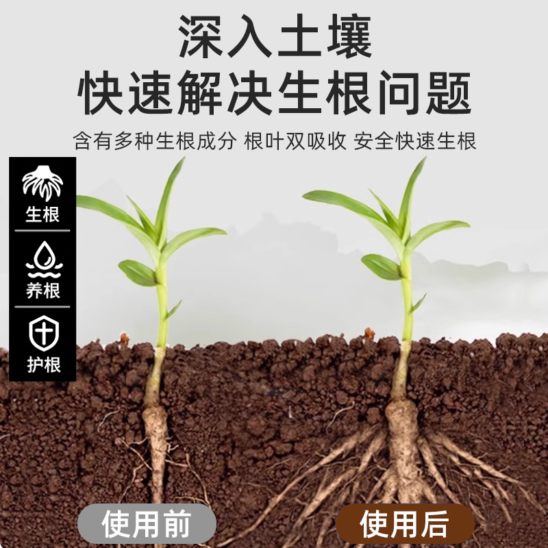 贝可施生根液快速爆根液发根生根水扦插用植物壮苗生根粉剂营养液 - 图3