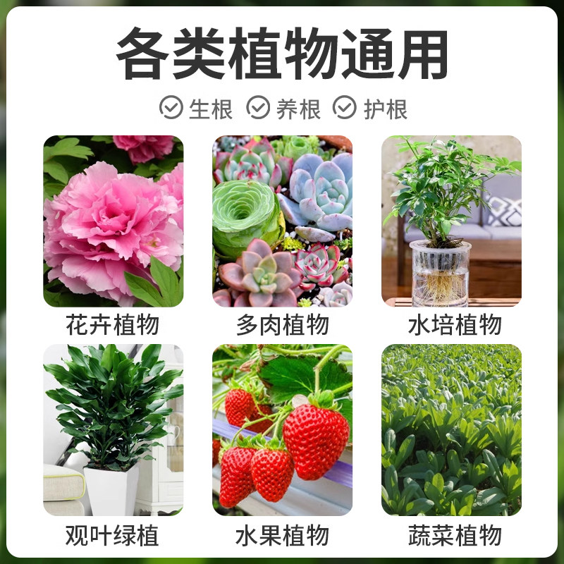 贝可施生根液枯萎烂根灵快速生根多肉扦插营养液高纯爆根粉旗舰店,淘宝优惠券,粉丝福利购,淘宝优惠卷