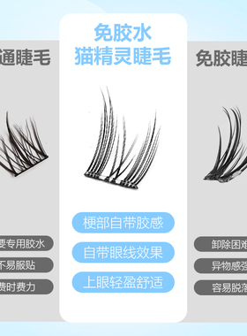 免胶超值十排纯欲猫假睫毛大容量