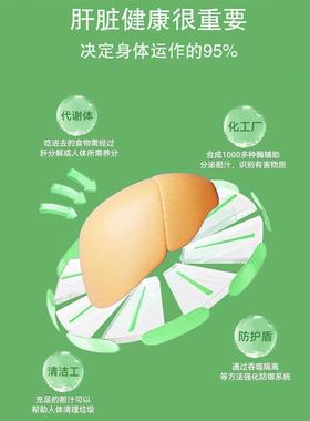 DODOLOOK Women's Multi Milk Thistle 男女复合水飞蓟-A5