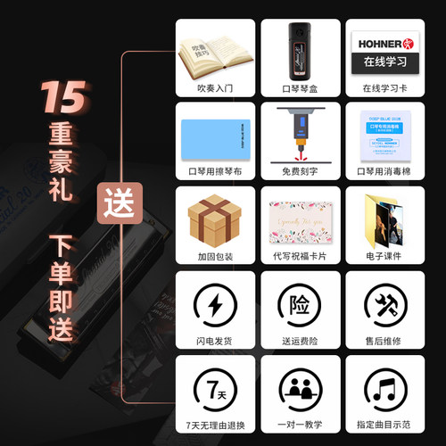 德国HOHNER和来进口SP20布鲁斯10十孔口琴学生初学者Special20 - 图0