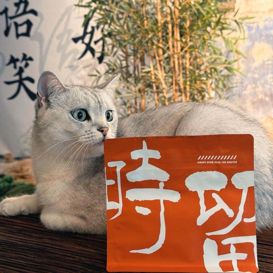 时留咖啡【水洗日晒】耶加雪菲SOE中烘商用家用意式咖啡机咖啡豆,淘宝优惠券,粉丝福利购,淘宝优惠卷