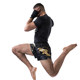 HAYABUSA Falcon Muay Thai shorts professional training for men and women