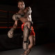 HAYABUSA Fighting Sanda Trail Guard Cowhide Boxing