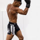 HAYABUSA ultra-light training and competition boxing shorts