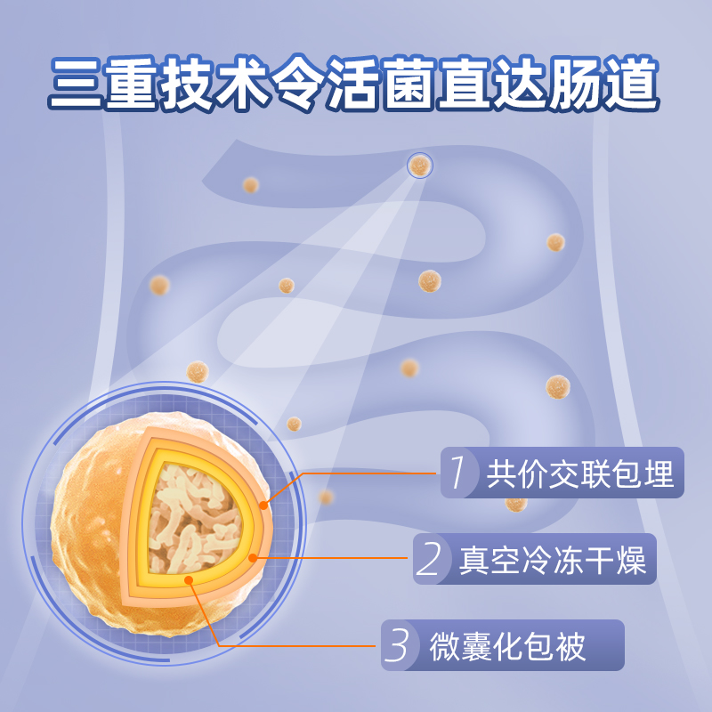 初晴乳双歧杆菌V9益生菌300亿活菌多囊LH下降肠道健康免疫拍2发3 - 图1