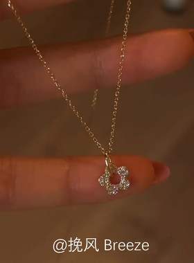 S925纯银闪钻镂空花朵项链女