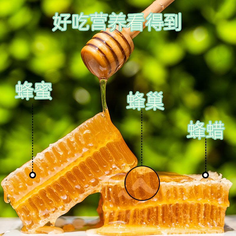 纯正天然嚼着吃的野生蜜源蜂巢蜜 广颐堂蜂蜜
