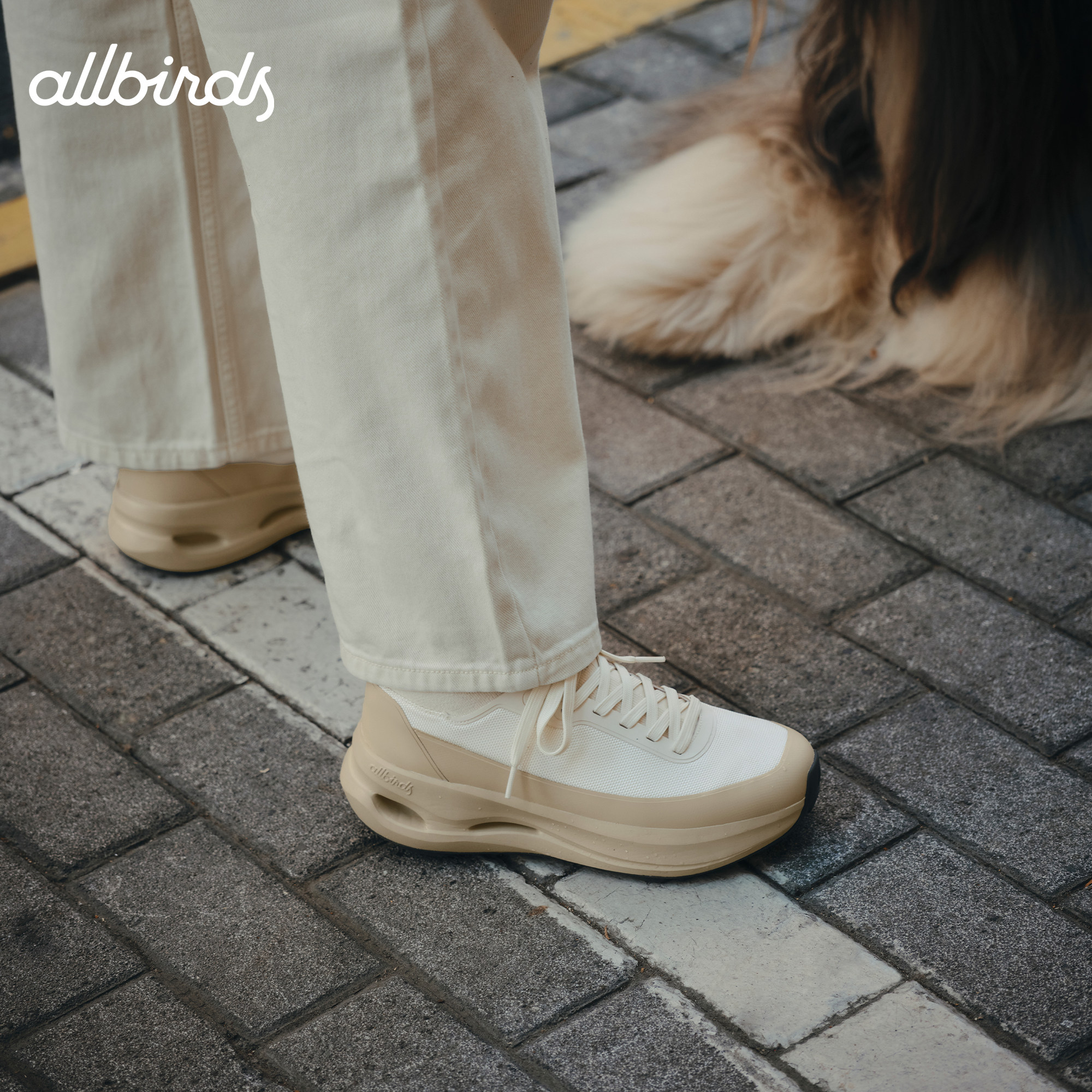 Allbirds休闲鞋Ecolane Utility秋冬新厚底增高鞋轻便男女运动鞋,淘宝优惠券,粉丝福利购,淘宝优惠卷