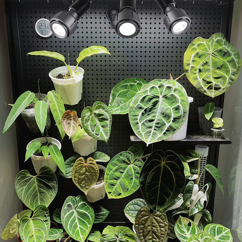 光联天下全光谱植物生长灯泡室内盆栽绿植热植补光灯E27螺口射灯,淘宝优惠券,粉丝福利购,淘宝优惠卷