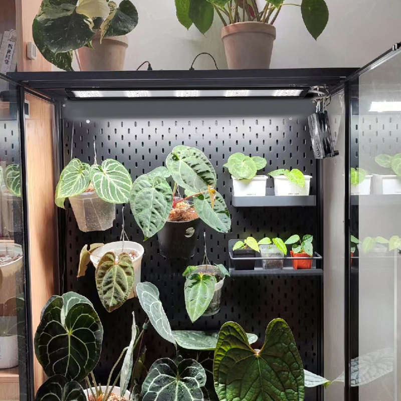 光联天下植物生长灯长条灯全光谱自然光热植花架植物柜补光灯排灯,淘宝优惠券,粉丝福利购,淘宝优惠卷