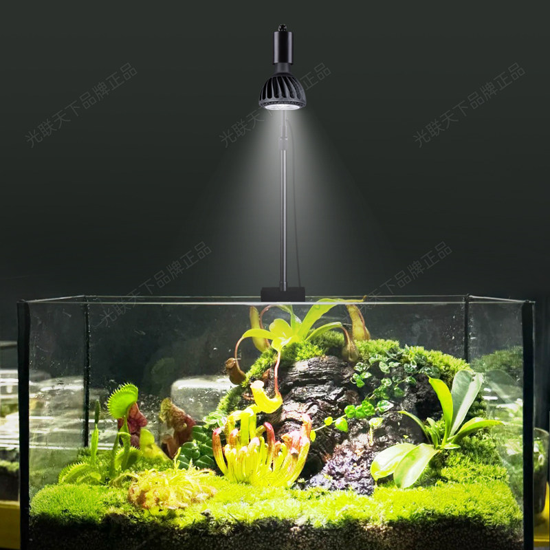 光联天下全光谱植物生长灯鱼缸夹子射灯微景观多肉仙人球水草补光,淘宝优惠券,粉丝福利购,淘宝优惠卷