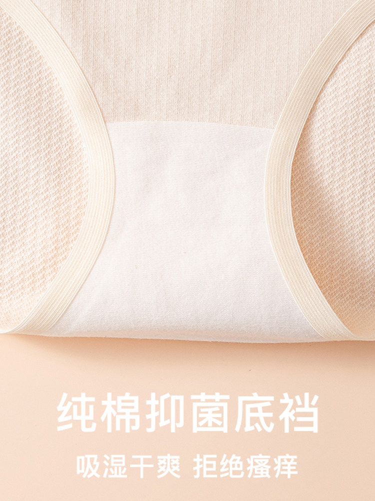  猫人热爱女三角裤