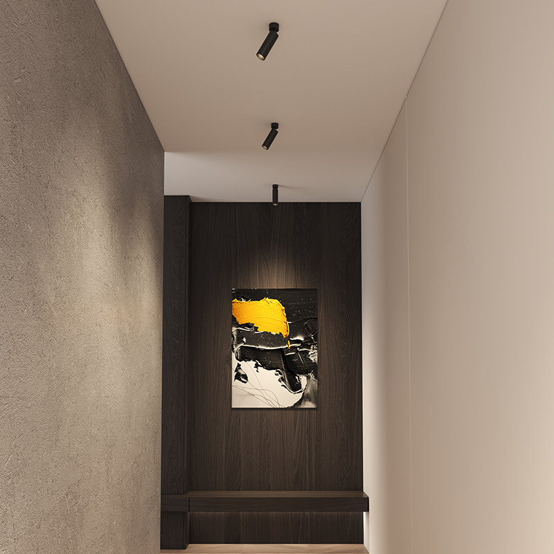 仙人掌先生电镀银筒灯免吊顶防眩吸顶客厅家用明装可调角led射灯,淘宝优惠券,粉丝福利购,淘宝优惠卷