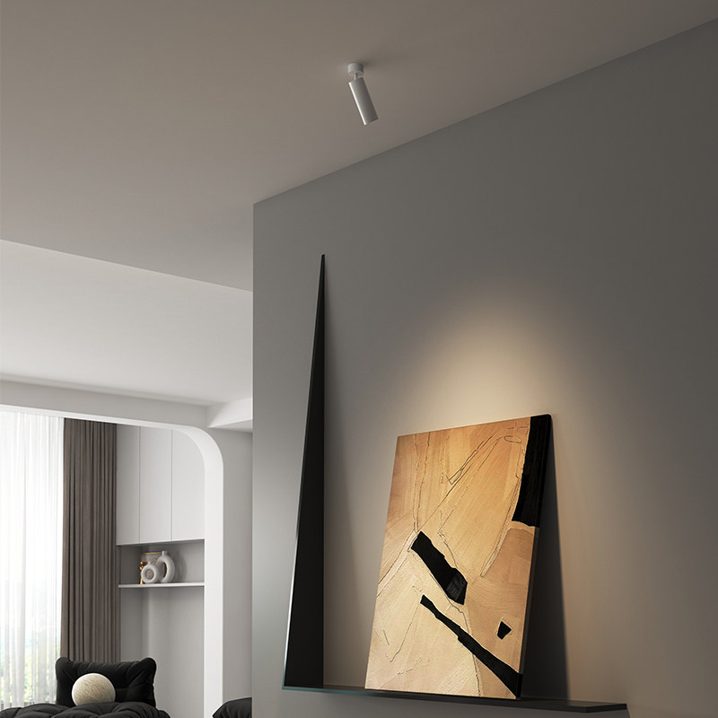 仙人掌先生电镀银筒灯免吊顶防眩吸顶客厅家用明装可调角led射灯,淘宝优惠券,粉丝福利购,淘宝优惠卷