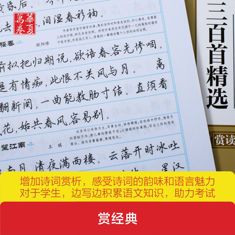 行楷字帖成人练字成年练字帖宋词三百首精选吴玉生行楷钢笔字帖华夏万卷古诗词大学生高中生初中生硬笔书法练字本临摹描红行楷字帖-图2