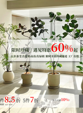 清仓仿真绿植高端轻奢装饰摆件大型客厅高级仿生室内落地盆栽假树