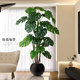 Monstera deliciosa simulated green plant high-end light luxury large potted plant interior decoration ornaments living room floor-standing bionic fake tree plant