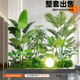 Simulated green plants and large potted plants under the stairs in the living room