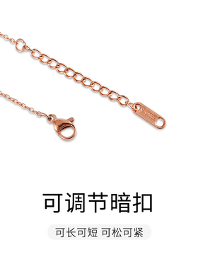 钛钢项链2021年新款女高端装饰项圈四叶草网红冷淡风小众锁骨链