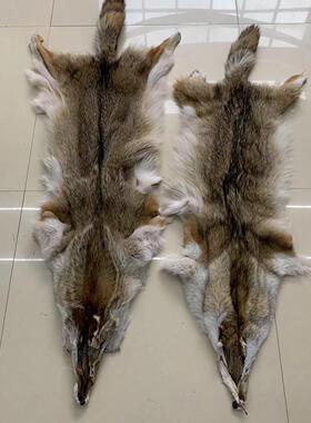 进口整张郊狼皮加拿大郊狼床边毯皮草家居摆件装饰品坐垫DIY手工