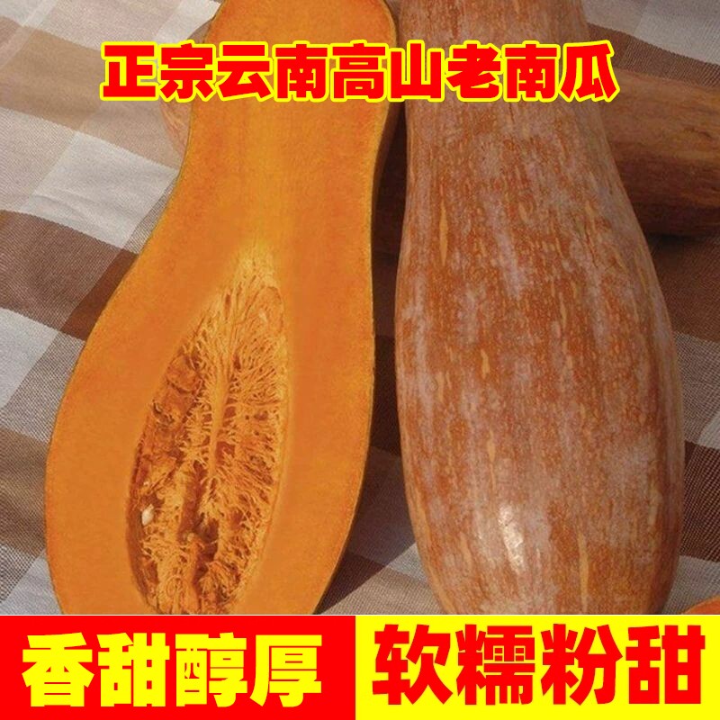云南老南瓜农家自种当季新鲜粉面甜糯小宝宝辅食整箱蒸煮密本南瓜