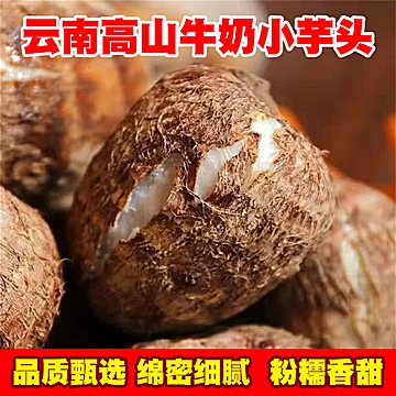 云南毛芋头牛奶芋头新鲜现挖现发[5元优惠券]-寻折猪
