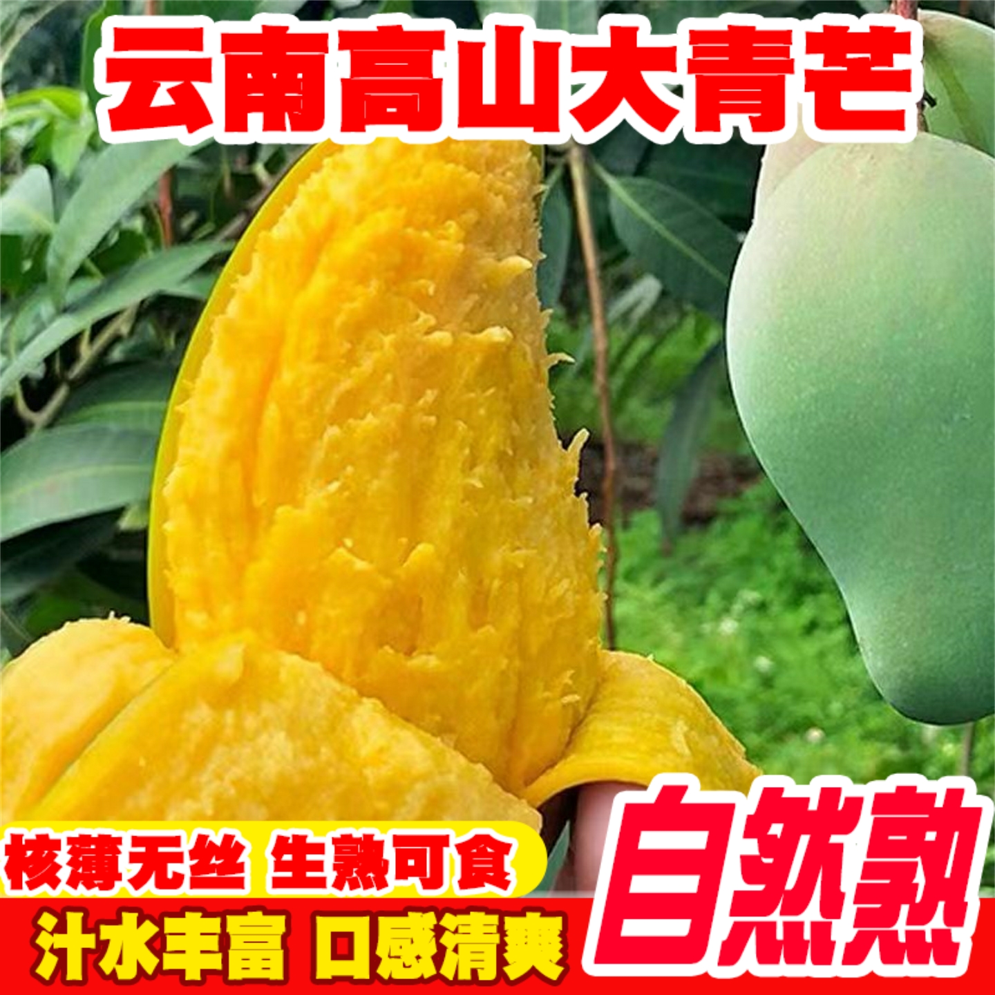 云南新鲜大青芒金煌芒特大芒果青皮甜心整箱应季生熟5斤【空运】